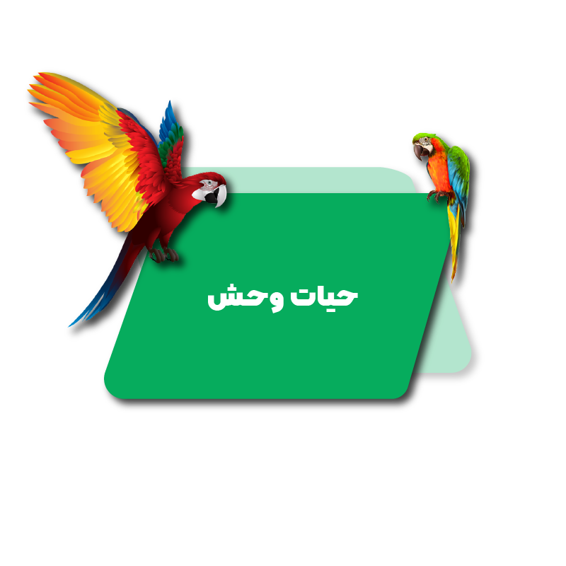 حیات وحش